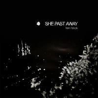 Виниловая пластинка She Past Away / Narin yalnizlik (LP)