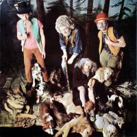 Виниловая пластинка Jethro Tull / This Was (50th Anniversary Edition)(LP)