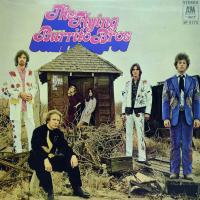 Виниловая пластинка The Flying Burrito Brothers / Gilded Palace Of Sin (LP)