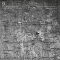 Виниловая пластинка Timothy Archambault / Onimikig (1LP)