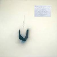 Виниловая пластинка David Sylvian & Nine Horses / Snow Borne Sorrow (Expanded Edition) (coloured) (2LP)