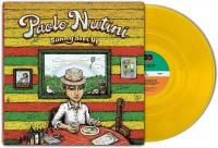 Виниловая пластинка Paolo Nutini / Sunny Side Up (Limited Edition)(Coloured Vinyl)(LP)