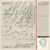 Виниловая пластинка GLEN HANSARD / THIS WILD WILLING (2LP)