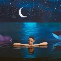 Виниловая пластинка Claire Laffut / Bleu (2LP)