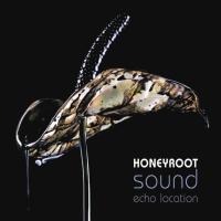 Компакт-диск Honeyroot / Sound Echo Location (RU)(CD)