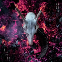 Виниловая пластинка Colin Stetson / The Love It Took To Leave You (2LP)