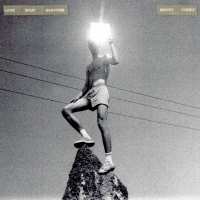 Виниловая пластинка Mount Kimbie / Love What Survives (2LP)