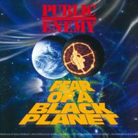 Виниловая пластинка Public Enemy / Fear Of A Black Planet (LP)