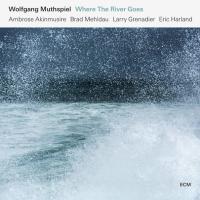 Компакт-диск Wolfgang Muthspiel / Where The River Goes (CD)