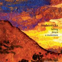 Компакт-диск Tindersticks / Falling Down A Mountain (RU)(CD)