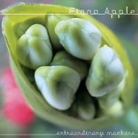 Компакт-диск Fiona Apple / Extraordinary Machine (DualDisc)