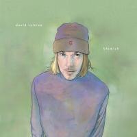Виниловая пластинка David Sylvian / Blemish (LP) Виниловая пластинка David Sylvian / Blemish (LP)