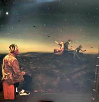 Виниловая пластинка CORDAE / FROM A BIRDS EYE VIEW - CLEAR YELLOW VINYL (1LP)