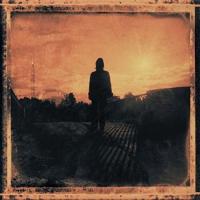 Виниловая пластинка Steven Wilson / Grace For Drowning (2LP) Виниловая пластинка Steven Wilson / Grace For Drowning (2LP)