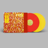 Виниловая пластинка The Bug / Fire (Red & Yellow, Limited) (2LP)