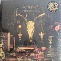 Виниловая пластинка Aether Realm / REDNECK VIKINGS FROM HELL (1LP)