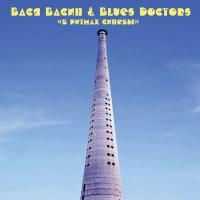 Компакт-диск Вася Васин и Blues Doctors / В Ритмах Синевы (CD)