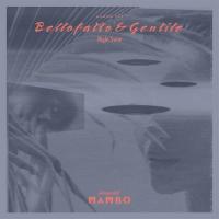 Виниловая пластинка Bellofatto & Gentile / Night Swim (1LP)