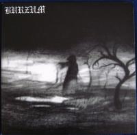 Виниловая пластинка Burzum / Burzum / Aske