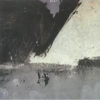 Виниловая пластинка NEW ORDER / SHELLSHOCK (1LP)