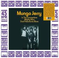 Виниловая пластинка Jerry Mungo / In The Summertime (LP)