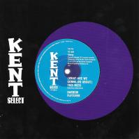 Виниловая пластинка DARROW FLETCHER / (WHAT ARE WE GONNA DO ABOUT) THIS MESS B/W HONEY CAN I (1LP)