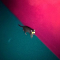 Виниловая пластинка !!! / Wallop (2LP)