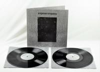 Виниловая пластинка Paysage D'Hiver / Einsamkeit (2LP)