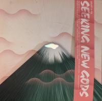 Виниловая пластинка GRUFF RHYS / SEEKING NEW GODS (2LP)
