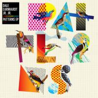 Виниловая пластинка EARNHARDT DALE JR JR / PATTERNS - RSD 2013 RELEASE (1LP)