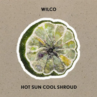 Виниловая пластинка Wilco / Hot Sun Cool Shroud (1LP)