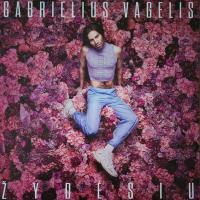 Виниловая пластинка Gabrielius Vagelis / Zydesiu (1LP)