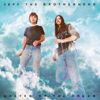 Виниловая пластинка Jeff The Brotherhood / Wasted On The Dream (LP)
