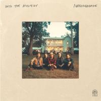 Компакт-диск Needtobreathe / Into The Mystery (CD)