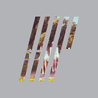 Виниловая пластинка Steven Wilson / 4,5 (1LP)