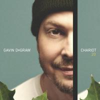 Виниловая пластинка Gavin Degraw / Chariot 20 (2LP)