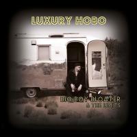 Виниловая пластинка BIG BOY BLOATER & THE LIMITS / LUXURY HOBO (2LP)