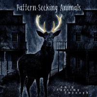 Виниловая пластинка Pattern-Seeking Animals / Only Passing Through (3LP)