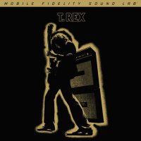Виниловая пластинка T. Rex / Electric Warrior (45 RPM, Original Master Recording Series) (2LP)