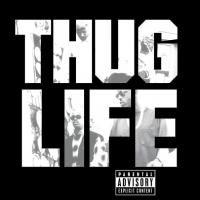 Виниловая пластинка Thug Life / Volume 1 (25th Anniversary Edition) (1LP)
