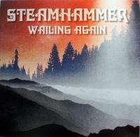 Виниловая пластинка STEAMHAMMER / WAILING AGAIN (1LP)
