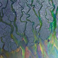 Виниловая пластинка Alt-J / An awesome wave - fern green vinyl (1LP)