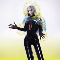 Компакт-диск Bjork / Vulnicura (RU)(CD)