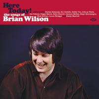 Виниловая пластинка VARIOUS ARTISTS / HERE TODAY! THE SONGS OF BRIAN WILSON (1LP)