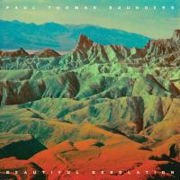 Виниловая пластинка Saunders Paul Thomas / Beautiful Desolation (LP)