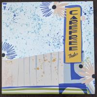 Виниловая пластинка Surfer Blood / Carefree Theatre (1LP)