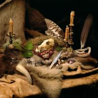 Компакт-диск Wolves In The Throne Room / Primordial Arcana (CD)