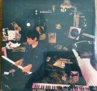 Виниловая пластинка PAOLO NUTINI / LAST NIGHT IN THE BITTERSWEET (2LP)