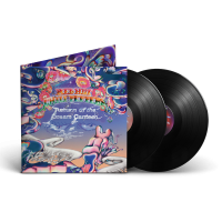 Виниловая пластинка RED HOT CHILI PEPPERS / RETURN OF THE DREAM CANTEEN (2LP)