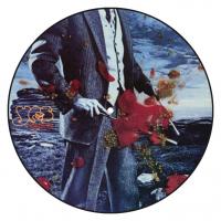 Виниловая пластинка Yes / Tormato (Picture Disc)(LP)